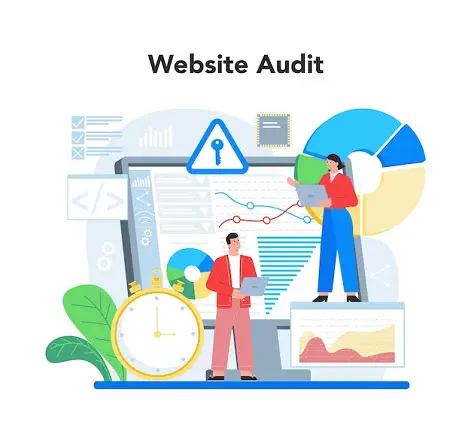 website-audit